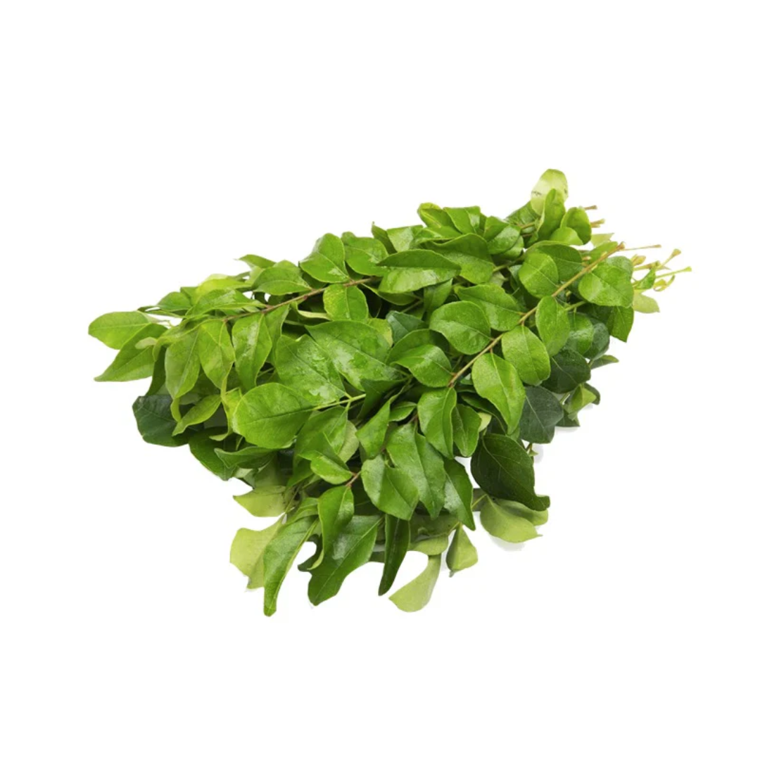 Curry Leaves 100gm Wholesaler and Distributor – Dubai